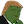 :pepetrump: