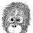 Monkey